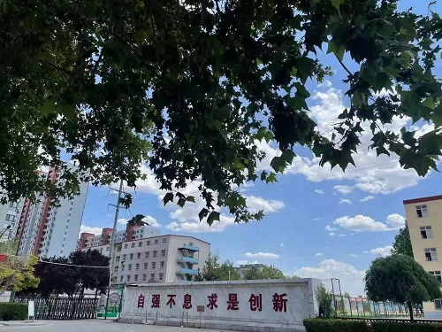 石家庄金博宝官网网址是多少
升学班考什么呢